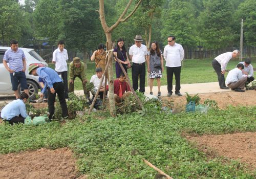 Hội nghị sơ kết quý I năm 2018, lễ phát động phong trào trồng cây thuốc Nam
