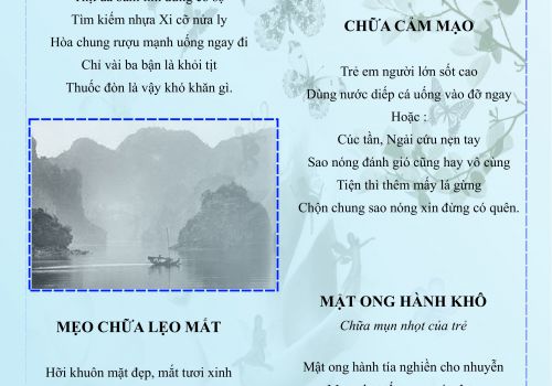 Thuốc đánh đòn - Lương y Lê Xuân Thủy
