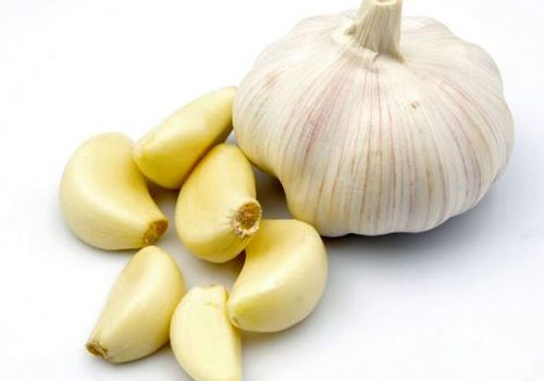 Tỏi- vị thuốc kỳ diệu