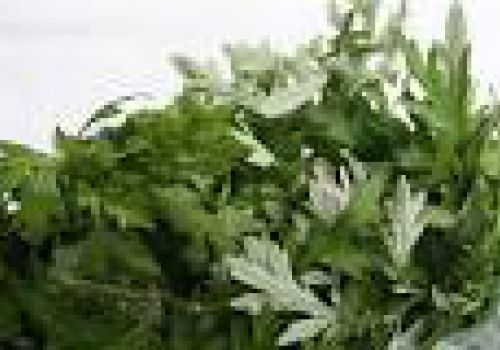 7 bài thuốc chữa đau lưng đơn giản và hiệu quả